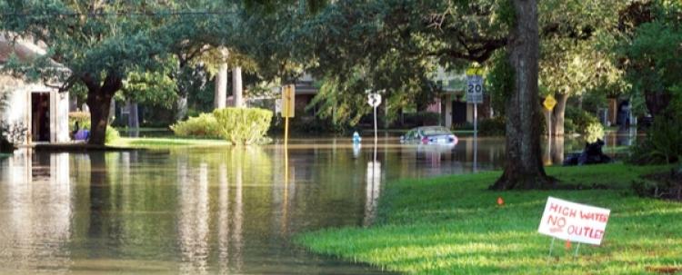 Help to Policyholders Impacted by Hurricane Laura