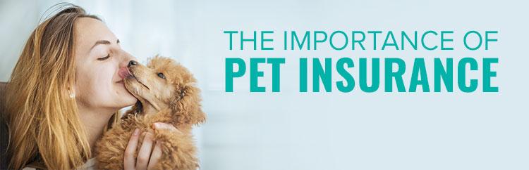 Pet Insurance 101 