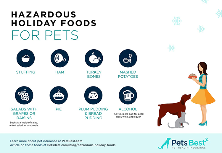 Six Holiday Foods to Keep Away From Your Pets